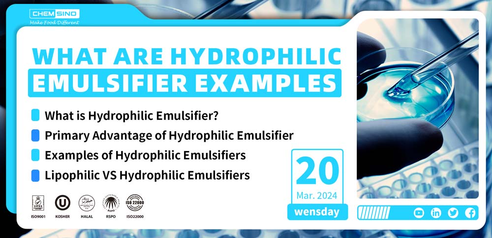 What Are Hydrophilic Emulsifier Examples